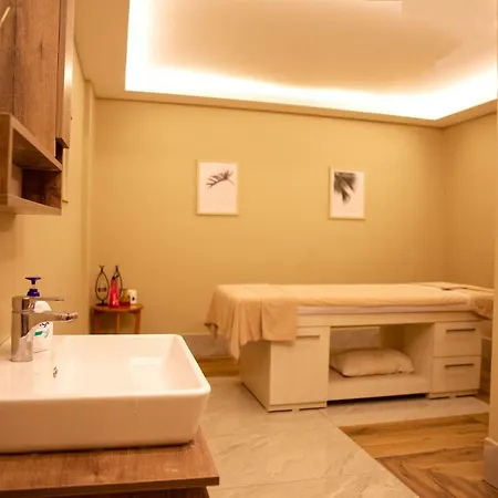 Premier Vista 4* سيليفري